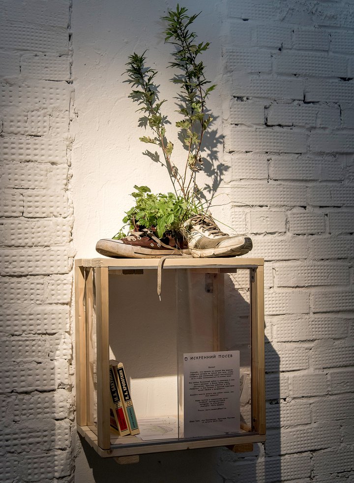 installation, exhibition, contemporary art, plants