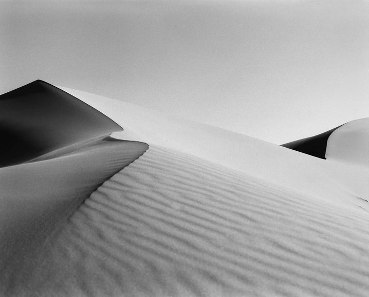 Cosmoscow, oasis, photography, desert, contemporary art