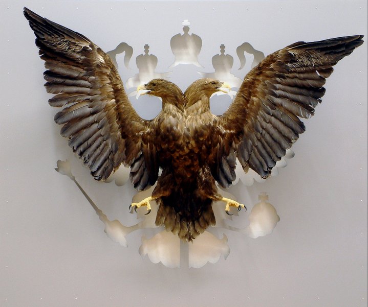 russian art, contemporary art, eagle
