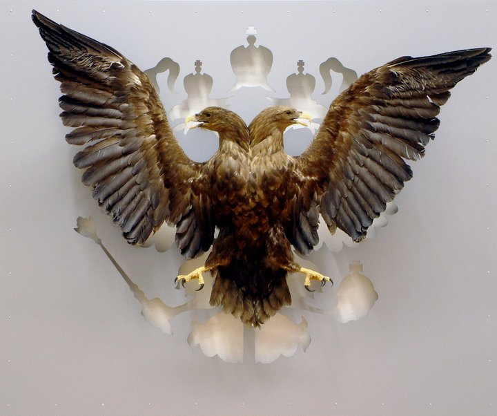 russian art, contemporary art, eagle